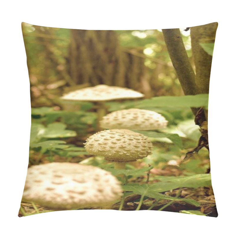 Personality  A glade with a path of light scaly mushrooms in a green grove in summer. pillow covers