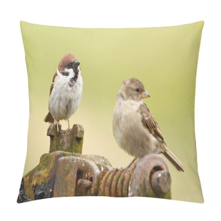 Personality  Tree Sparrows Male And Female Pillow Covers