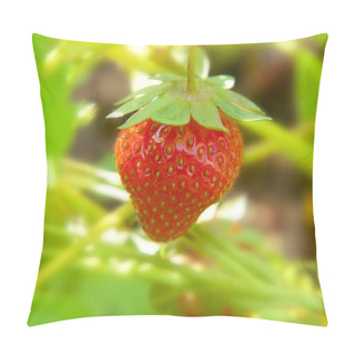 Personality  Fresh Strawberry. Pillow Covers