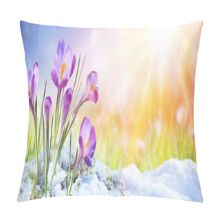 Personality  Springtime - Crocus Flower Growth In The Snow With Sunbeam Pillow Covers