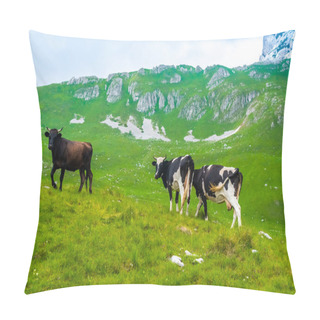 Personality  Cows Grazing On Green Valley In Durmitor Massif, Montenegro Pillow Covers