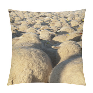 Personality  Flock Of Sheep. Pillow Covers