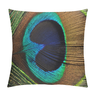 Personality  Peacock Feather Pillow Covers