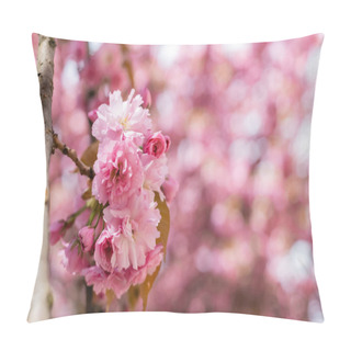 Personality  Close Up Of Blooming Pink Flowers On Branch Of Cherry Tree  Pillow Covers