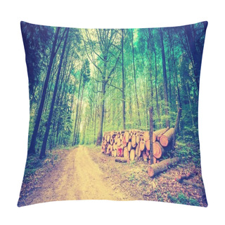 Personality  Vintage Photo Of Beautiful Green Springtime Forest And Cutted Wood Pillow Covers