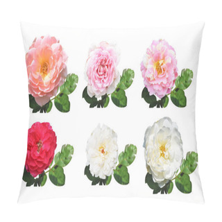 Personality  Pastel Roses/camellia Roses With Branch And Green Leaves Isolated, No Shadow, In White Background, Roses With Clipping Path Pillow Covers