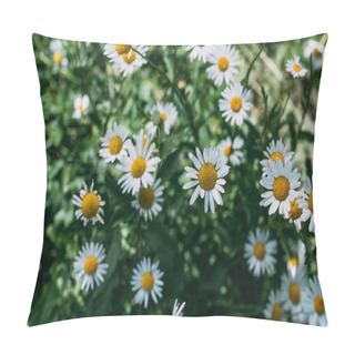 Personality  Close Up Of Floral Background With Beautiful Chamomile Flowers  Pillow Covers