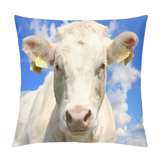 Personality  Cow Portrait Pillow Covers