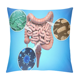 Personality  Bacteries Of Human Intestine, Intestinal Flora Gut Health Concep Pillow Covers