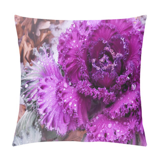 Personality  Decorative Purple Cabbage Pillow Covers