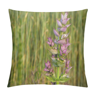 Personality  Purple Sage Flowers Close-up On A Background Of Green Grass Pillow Covers