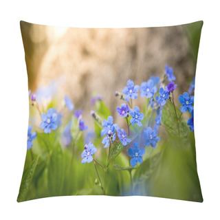 Personality  Blue Forget Me Not And Colourful Wildflowers In Spring Pillow Covers
