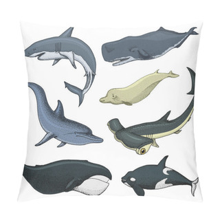 Personality  Blue Whales. Marine Creatures. Finback And Humpback, Bowhead, Killer And Sperm, Northern Bottlenose. Sea And Animals. Engraved Hand Drawn In Old Sketch And Vintage Style. Pillow Covers