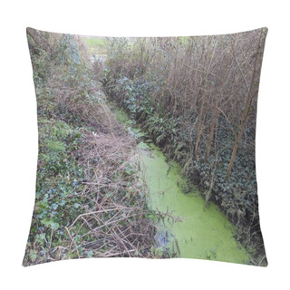 Personality  A Tranquil Winter Garden Scene Featuring A Bubbling Stream Adorned With Lush Green Algae And Vibrant Plants, Adding A Touch Of Nature To The Outdoor Space Pillow Covers