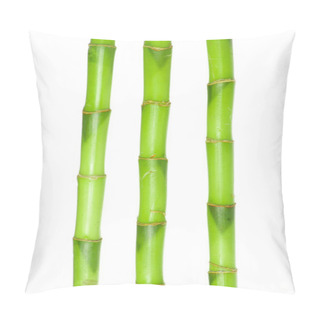 Personality  Green Bamboo Isolated  Pillow Covers