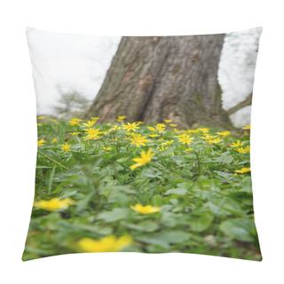Personality  The Lesser Celandine Or Fig Buttercup (Ficaria Verna) Blooming In Spring Pillow Covers