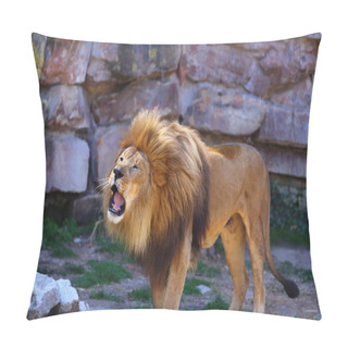 Personality  African Lion Roaring Pillow Covers