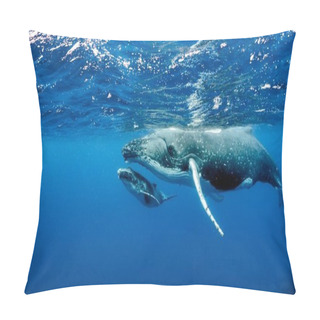 Personality  A Beautiful Underwater Shot Of Two Humpback Whales Swimming Near The Surface Pillow Covers