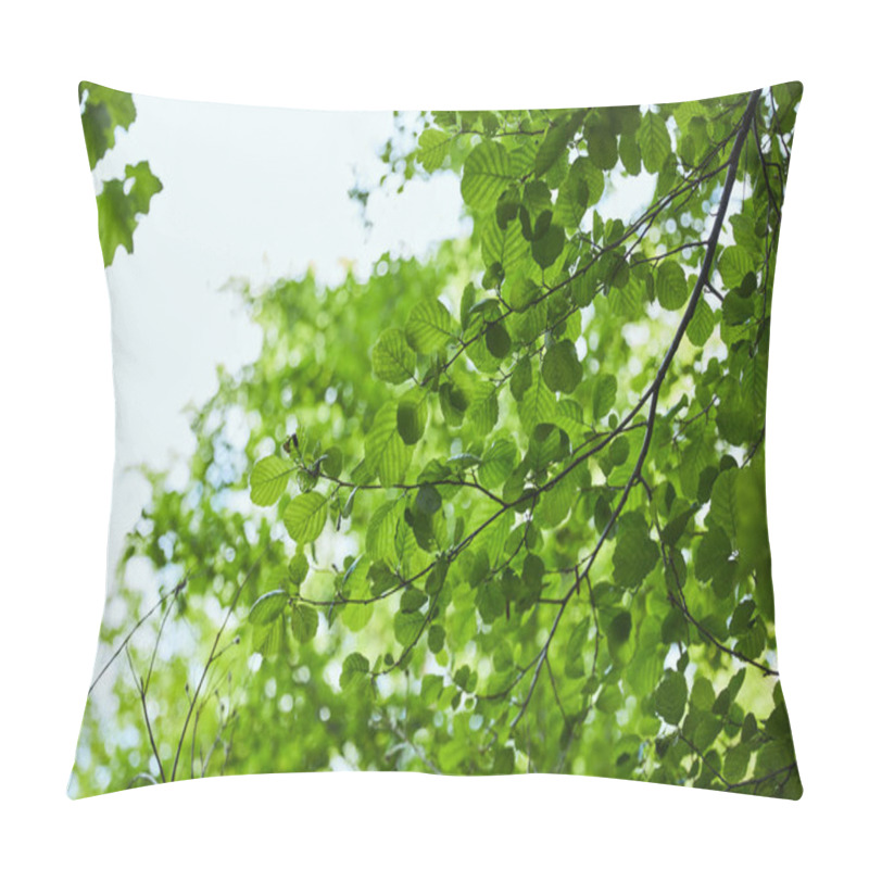 Personality  Low Angle View Of Green Leaves On Blue Sky Background Pillow Covers