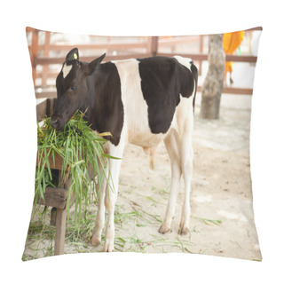 Personality  Cow At The Zoo. Pillow Covers
