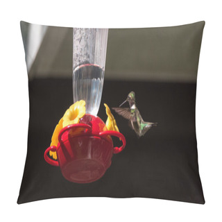 Personality  Springtime Ruby Throated Hummingbird (Archilochus Colubris). Pillow Covers