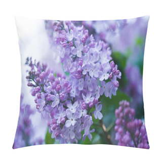 Personality  Bunch Of Violet Lilac Flower Pillow Covers
