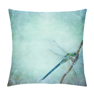 Personality  Vintage Shabby Chic Background With Dragonfly Pillow Covers