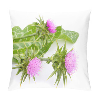 Personality  Milk Thistle Pillow Covers