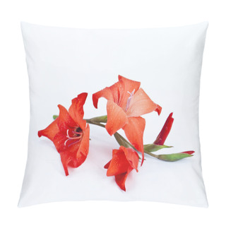 Personality  Red Gladiolus With Dew Pillow Covers