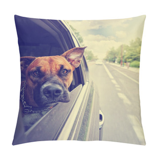 Personality  Pit Bull Riding In Car Pillow Covers