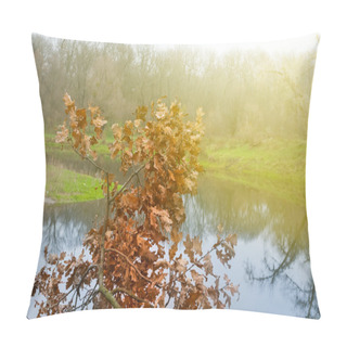 Personality  Closeup Red Oak Tree Pillow Covers