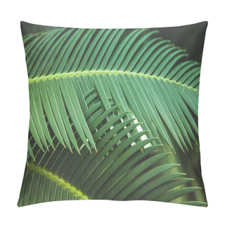 Personality  Close Up View Of Beautiful Green Palm Leaves Pillow Covers