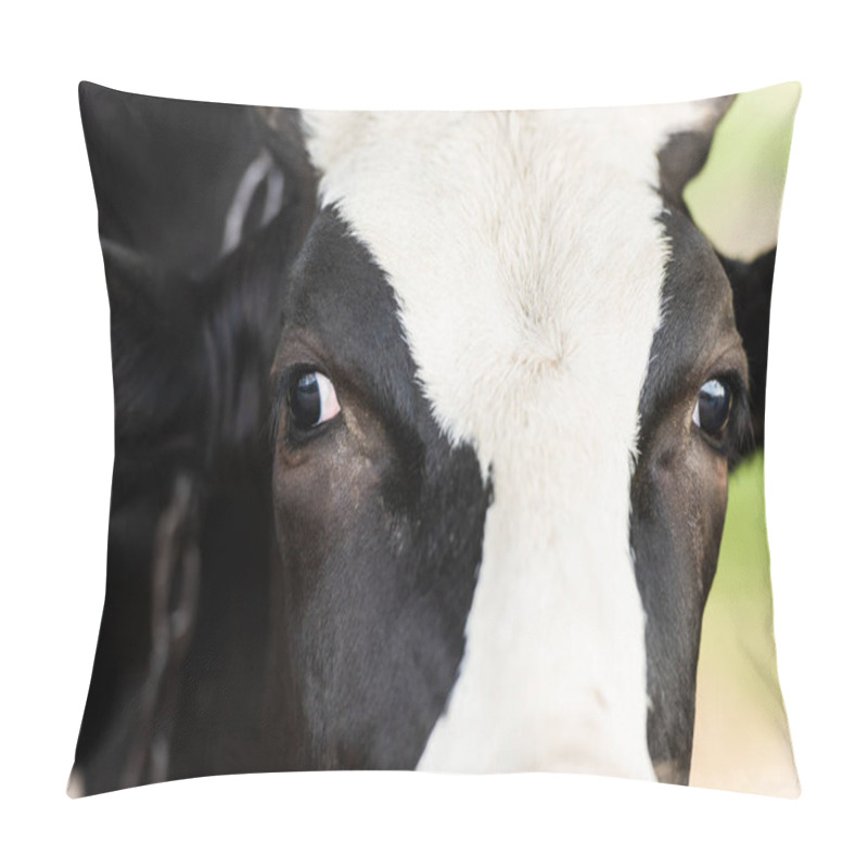 Personality  close up view of black and white cow head pillow covers