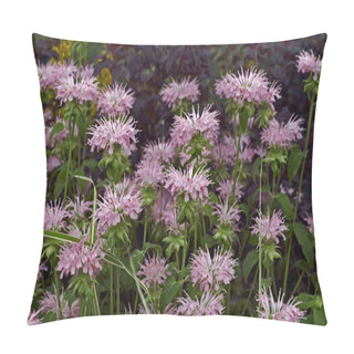 Personality  Flowering Monarda 'Fishes' In A Garden Border Pillow Covers