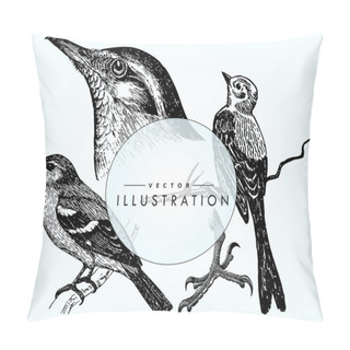 Personality  Set Birds Ornithology. Realistic Sketch Of Birds - Woodpecker On A Branch, Sparrow. Beautiful Bird Close-up Pillow Covers