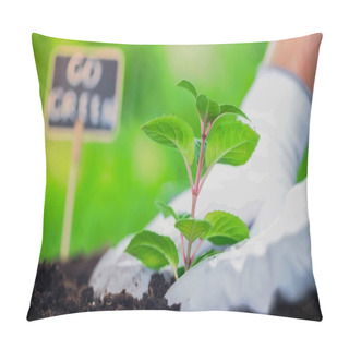 Personality  Close Up View Of Gardener Planting Plant In Soil In Blurred Garden  Pillow Covers