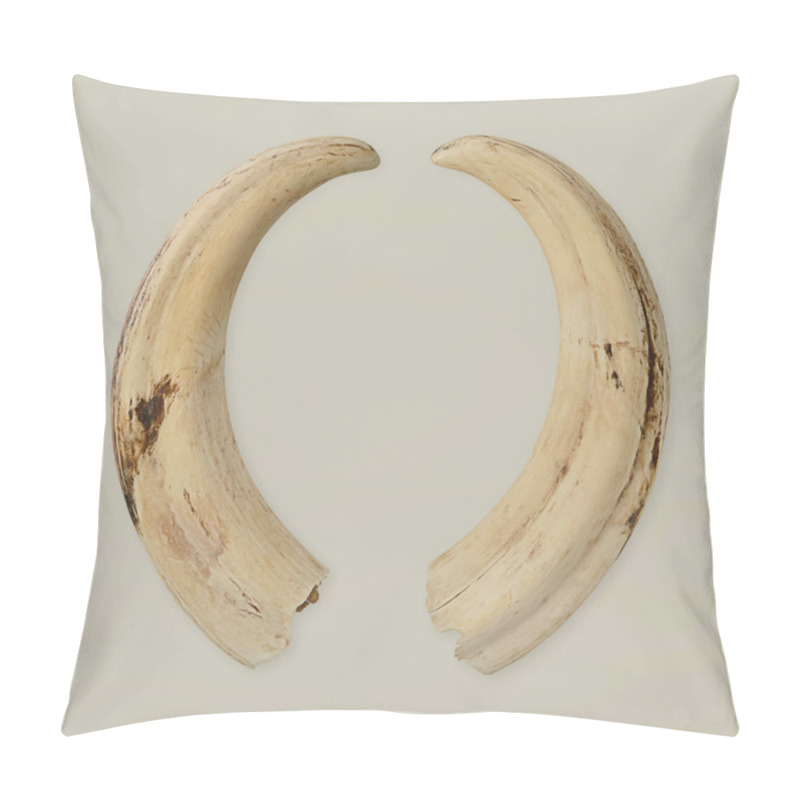 Personality  Tusks pillow covers