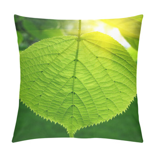 Personality  Green Leaf And Sunlight Pillow Covers