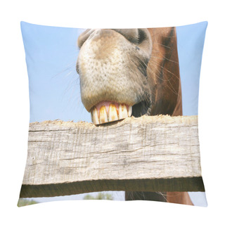 Personality  Funny Close Up Of A Purebred Mare Behind Wooden Corral Fence As Chewing The Corral Fence. Equestrian Background. Pillow Covers
