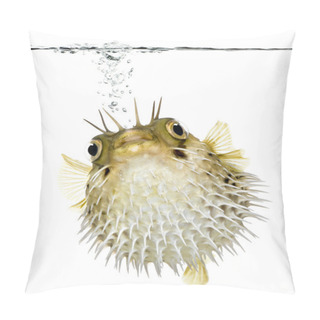 Personality  Long-spine Porcupinefish (fish) Swimming Below The Waterline Pillow Covers