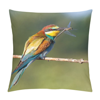 Personality  European Bee-eater, Merops Apiaster. Sunny Morning. An Adult Bird Has Caught A Beautiful Dragonfly And Holds It In Its Beak. Pillow Covers