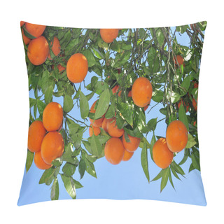 Personality  Orange Tree Pillow Covers