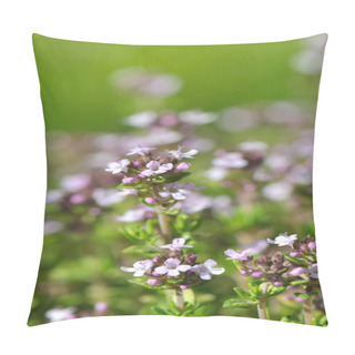 Personality  Thyme Flowers Pillow Covers