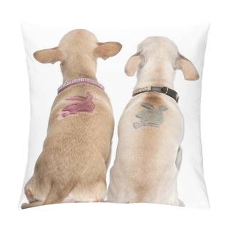 Personality  Two Chihuahuas With Playboy Bunny On Backs, 2 Years Old And 11 Months Old, Sitting In Front Of White Background Pillow Covers
