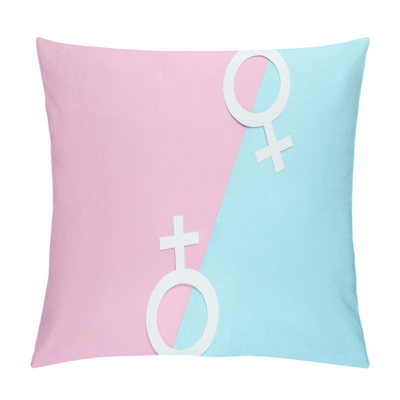 Personality  Two Gender symbol feminism on pastel background. Top view. LGBT community Minimalism.  pillow covers