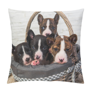 Personality  Four Funny Small Babies Basenji Puppies Dogs Pillow Covers