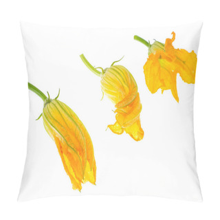 Personality  Yellow Pumpkin And Zucchini Flowers Isolated On White Background Pillow Covers