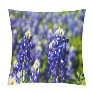 Personality  Beautiful Texas Bluebonnets Pillow Covers
