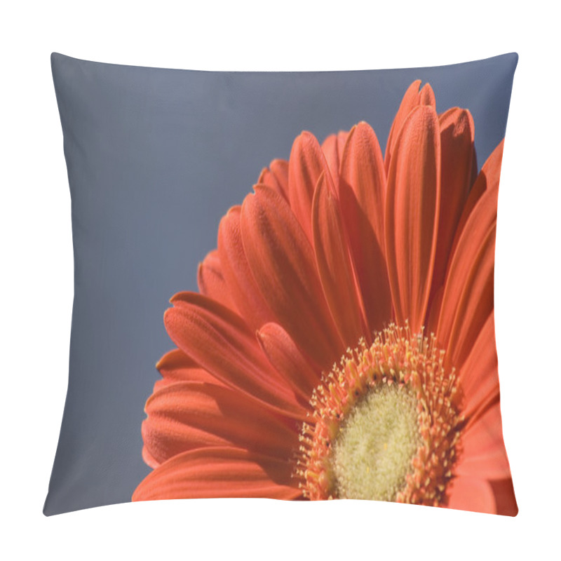 Personality  Orange Gerber Daisy pillow covers