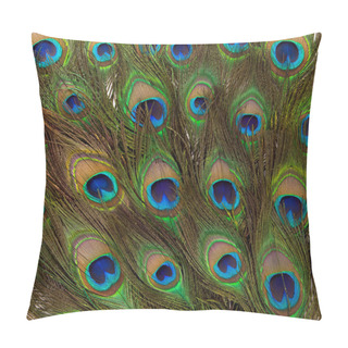 Personality  Colorful Peacock Feathers Isolated Pillow Covers